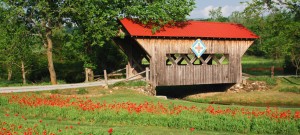 covered-bridge-for-carter-finance-and-loan